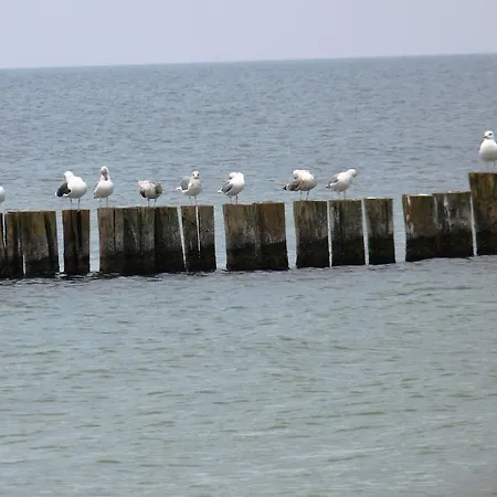 Residenz Lausitz Apartmán *