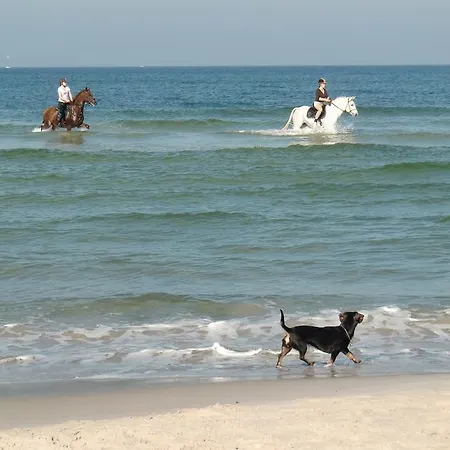 Residenz Lausitz Apartmán