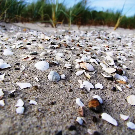 Residenz Lausitz Graal-Mueritz