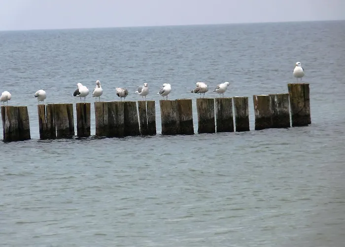 Residenz Lausitz Apartamento *