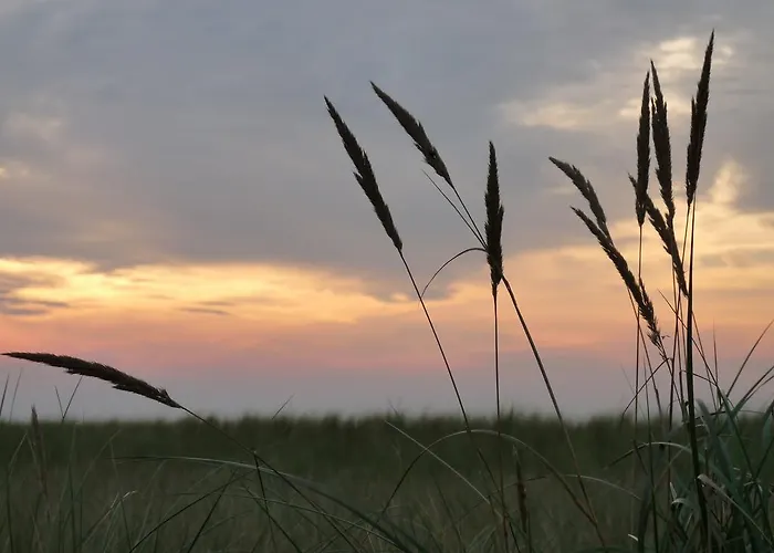 Residenz Lausitz Apartamento *