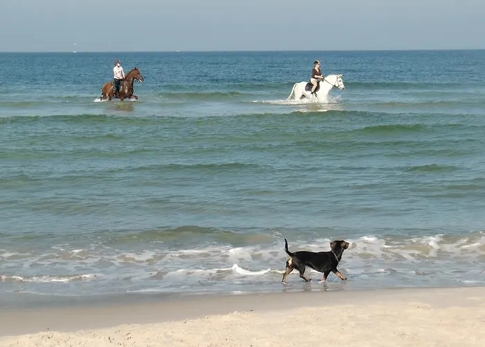 Residenz Lausitz Apartamento