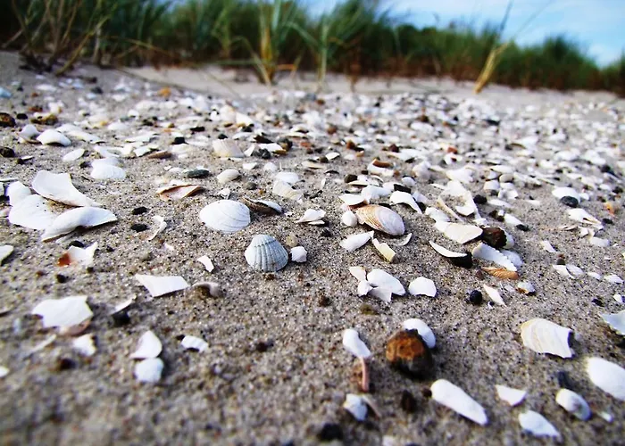 Residenz Lausitz Graal-Mueritz