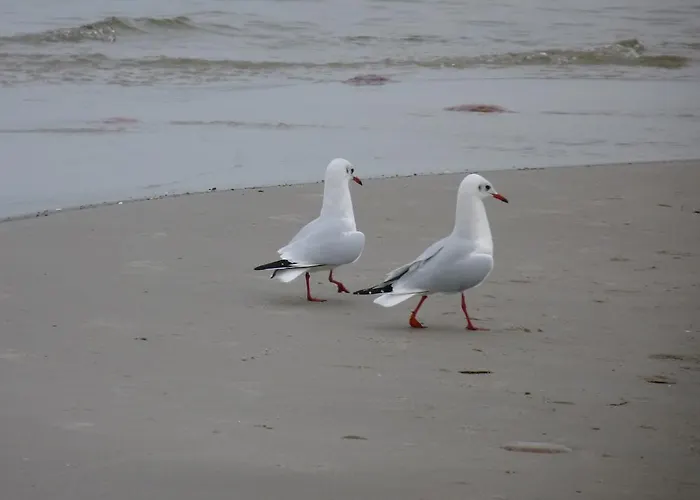 Apartamento Residenz Lausitz *